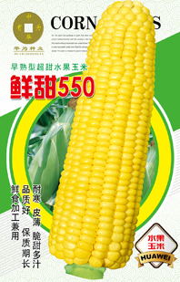 鮮甜550